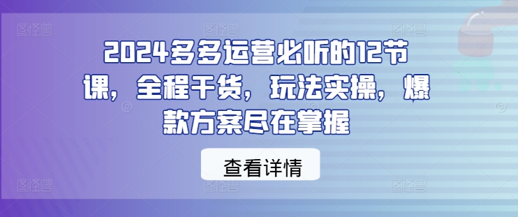 2024多多运营必听的12节课，全程干货，玩法实操，爆款方案尽在掌握-网创小站