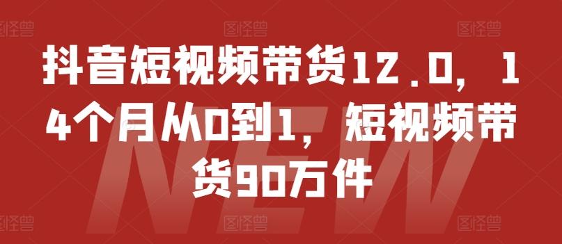 抖音短视频带货12.0，14个月从0到1，短视频带货90万件-网创小站