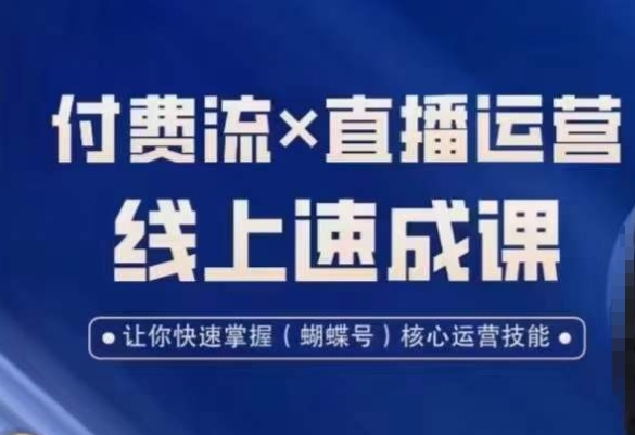 视频号付费流实操课程，付费流✖️直播运营速成课，让你快速掌握视频号核心运营技能-网创小站