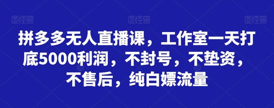 拼多多无人直播课，工作室一天打底5000利润，不封号，不垫资，不售后，纯白嫖流量-网创小站