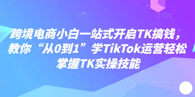 跨境电商小白一站式开启TK搞钱，教你“从0到1”学TikTok运营轻松掌握TK实操技能-网创小站