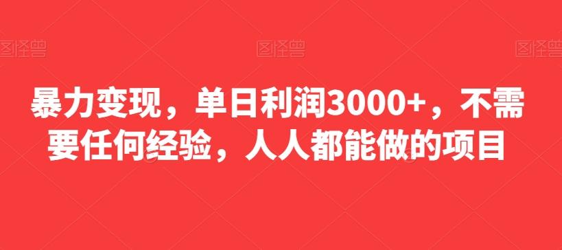 暴力变现，单日利润3000+，不需要任何经验，人人都能做的项目-网创小站
