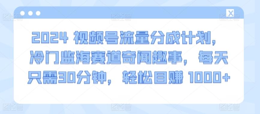 2024视频号流量分成计划，冷门监海赛道奇闻趣事，每天只需30分钟，轻松目赚 1000+【揭秘】-网创小站