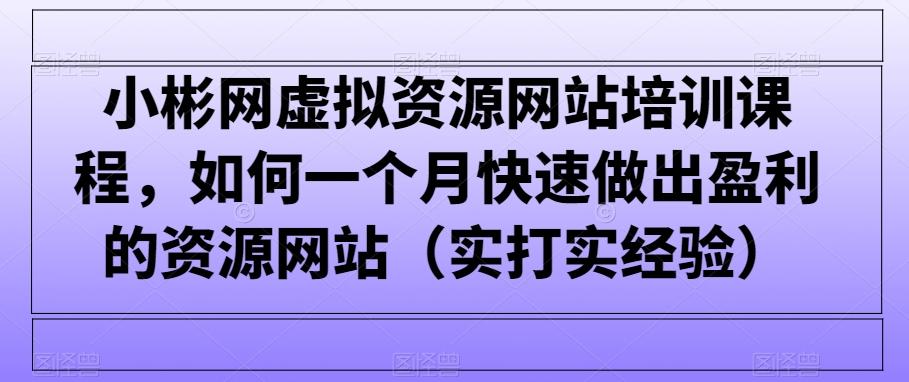 小彬网虚拟资源网站培训课程，如何一个月快速做出盈利的资源网站(实打实经验)-网创小站