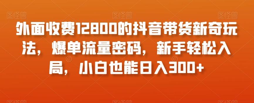 外面收费12800的抖音带货新奇玩法，爆单流量密码，新手轻松入局，小白也能日入300+【揭秘】-网创小站