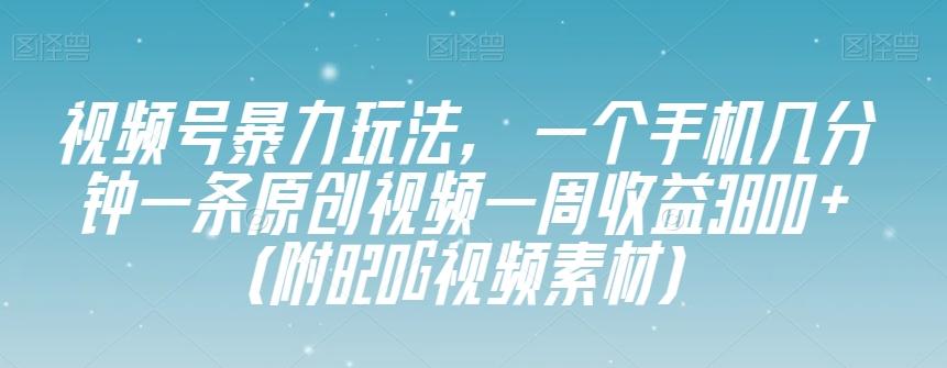 视频号暴力玩法，一个手机几分钟一条原创视频一周收益3800+（附820G视频素材）-网创小站