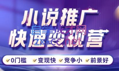 洲洲老师·小说推广快速变现营-网创小站