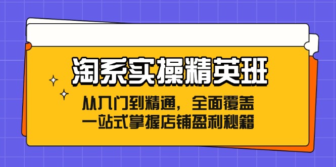 淘系实操精英班：从入门到精通，全面覆盖，一站式掌握店铺盈利秘籍-网创小站