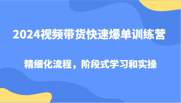 2024视频带货快速爆单训练营，精细化流程，阶段式学习和实操-网创小站