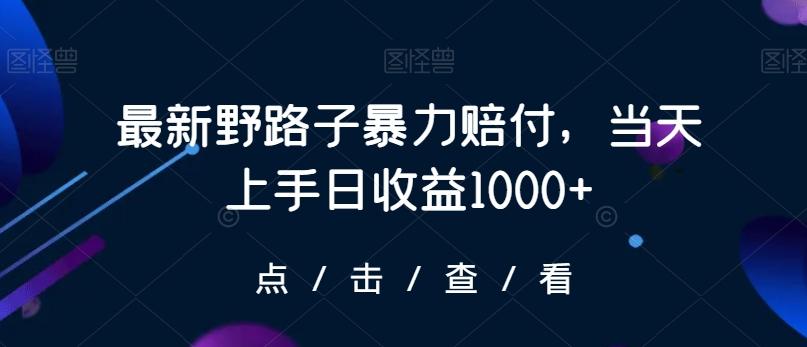 最新野路子暴力赔付，当天上手日收益1000+【仅揭秘】-网创小站