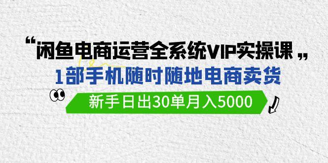 (9547期)闲鱼电商运营全系统VIP实战课，1部手机随时随地卖货，新手日出30单月入5000-网创小站