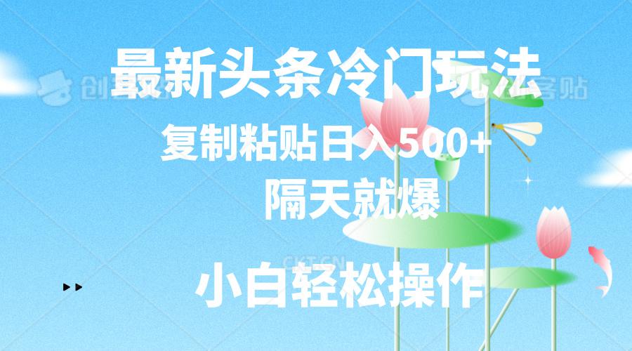 最新头条冷门玩法，隔天就爆，复制粘贴日入500+-网创小站