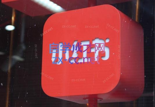 伊伊·红薯【高级班】运营课-网创小站