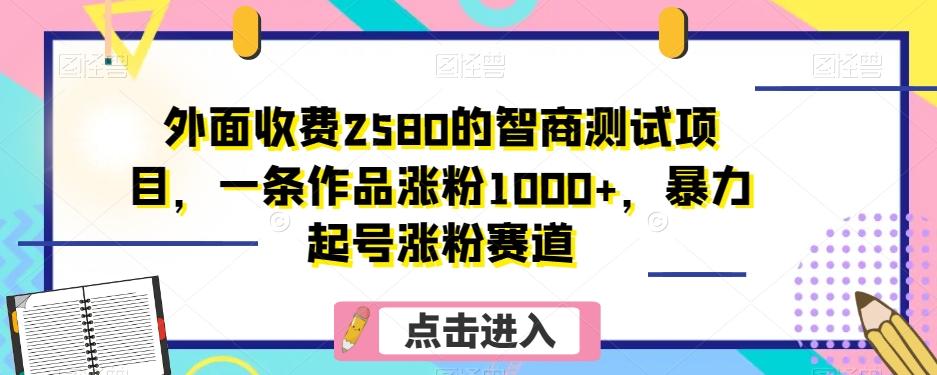 外面收费2580的智商测试项目，一条作品涨粉1000+，暴力起号涨粉赛道【揭秘】-网创小站