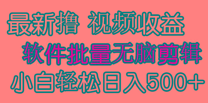(9569期)发视频撸收益，软件无脑批量剪辑，第一天发第二天就有钱-网创小站
