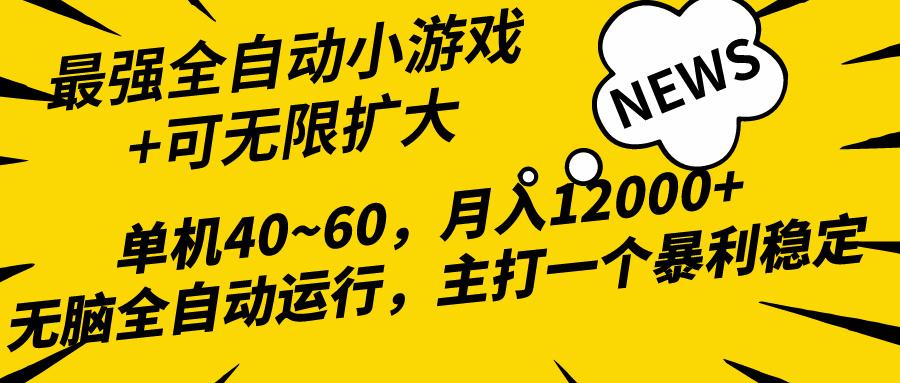 (10046期)2024最新全网独家小游戏全自动，单机40~60,稳定躺赚，小白都能月入过万-网创小站