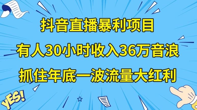 抖音直播暴利项目，有人30小时收入36万音浪，公司宣传片年会视频制作，抓住年底一波流量大红利【揭秘】-网创小站