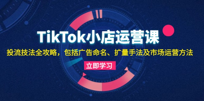 TikTok小店运营课：投流技法全攻略，包括广告命名 扩量手法及市场运营方法-网创小站