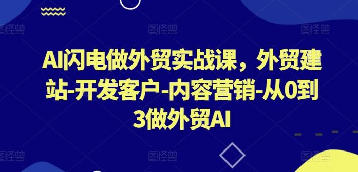 AI闪电做外贸实战课，​外贸建站-开发客户-内容营销-从0到3做外贸AI-网创小站