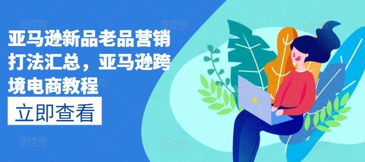 亚马逊新品老品营销打法汇总，亚马逊跨境电商教程-网创小站