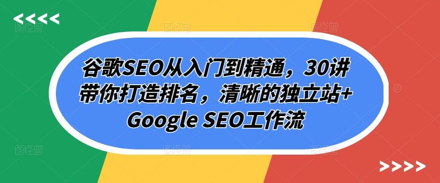 谷歌SEO从入门到精通，30讲带你打造排名，清晰的独立站+Google SEO工作流-网创小站