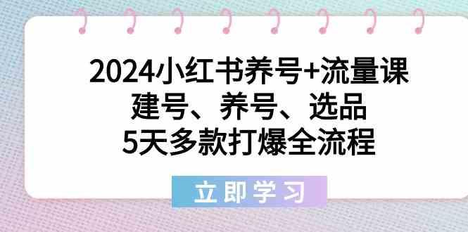 2024小红书养号+流量课：建号、养号、选品，5天多款打爆全流程-网创小站