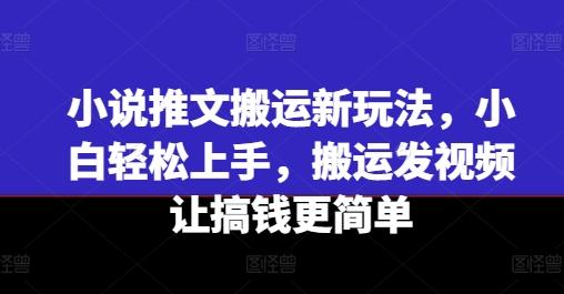 小说推文搬运新玩法，小白轻松上手，搬运发视频让搞钱更简单-网创小站