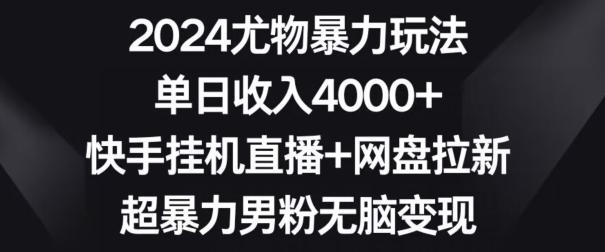 2024尤物暴力玩法，单日收入4000+，快手挂机直播+网盘拉新，超暴力男粉无脑变现【揭秘】-网创小站