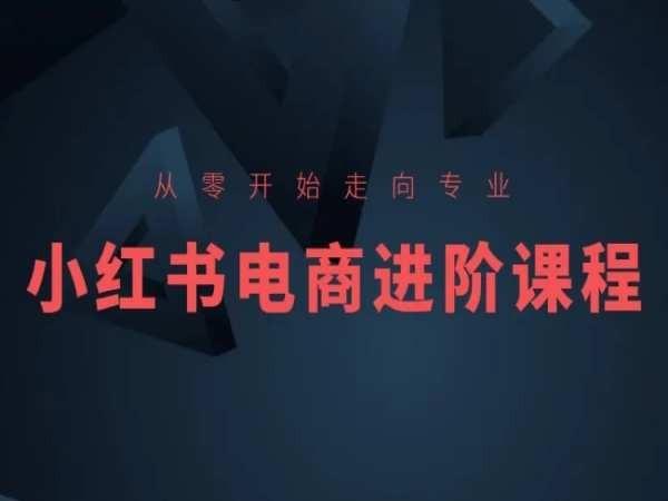 从零开始走向专业，小红书电商进阶课程-网创小站