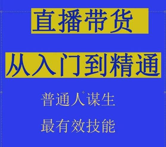 2024抖音直播带货直播间拆解抖运营从入门到精通，普通人谋生最有效技能-网创小站