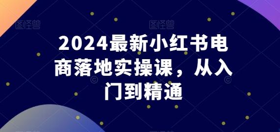2024最新小红书电商落地实操课，从入门到精通-网创小站