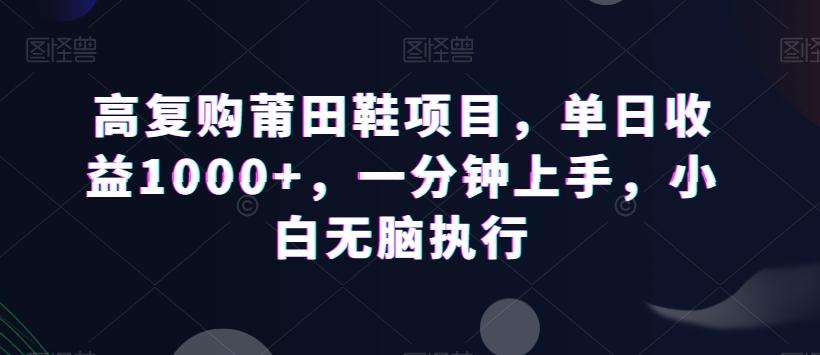 高复购莆田鞋项目，单日收益1000+，一分钟上手，小白无脑执行-网创小站