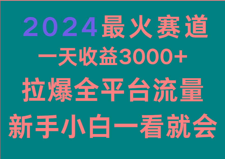 2024最火赛道，一天收一3000+.拉爆全平台流量，新手小白一看就会-网创小站