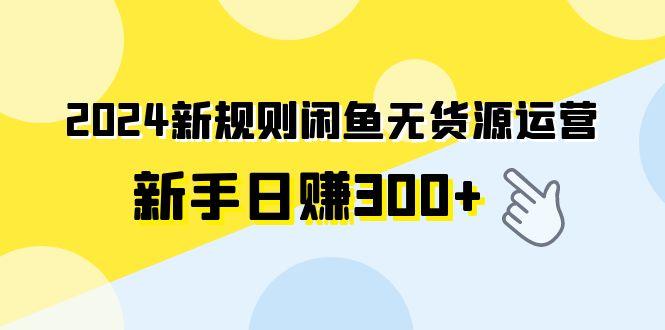(9522期)2024新规则闲鱼无货源运营新手日赚300+-网创小站
