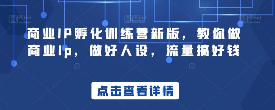 商业IP孵化训练营新版，教你做商业Ip，做好人设，流量搞好钱-网创小站