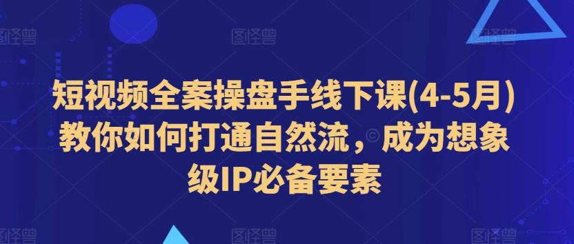 短视频全案操盘手线下课(4-5月)教你如何打通自然流，成为想象级IP必备要素-网创小站