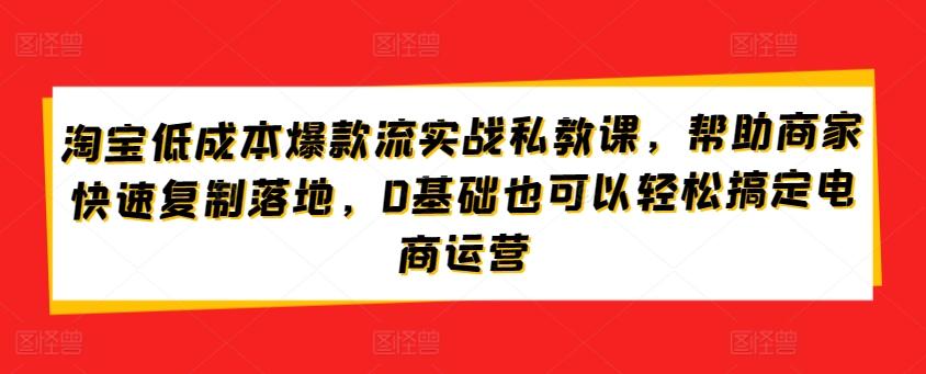 淘宝低成本爆款流实战私教课，帮助商家快速复制落地，0基础也可以轻松搞定电商运营-网创小站