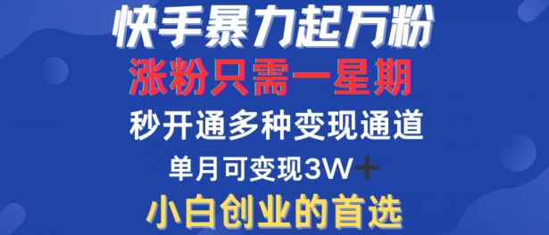 快手暴力起万粉，涨粉只需一星期，多种变现模式，直接秒开万合，单月变现过W【揭秘】-网创小站