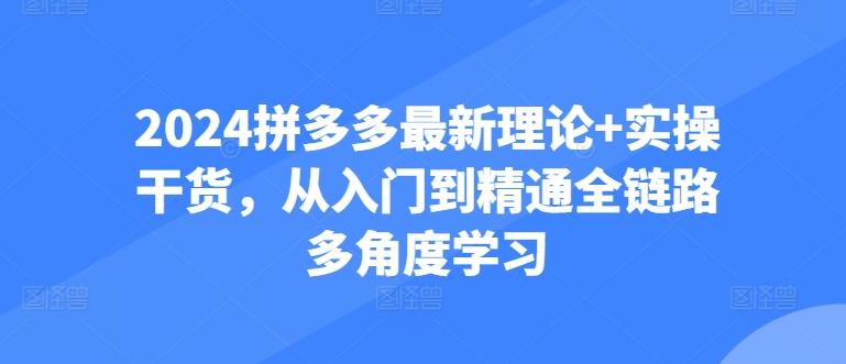 2024拼多多最新理论+实操干货，从入门到精通全链路多角度学习-网创小站