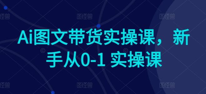 Ai图文带货实操课，新手从0-1 实操课-网创小站