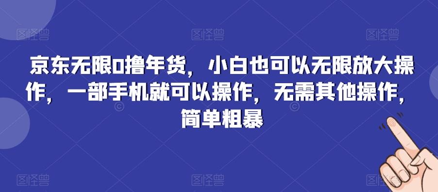 京东无限0撸年货，小白也可以无限放大操作，一部手机就可以操作，无需其他操作，简单粗暴-网创小站