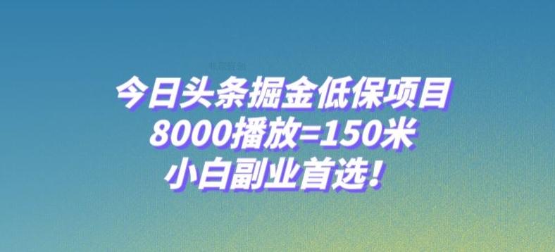 今日头条掘金低保项目，8000播放=150米，小白副业首选【揭秘】-网创小站