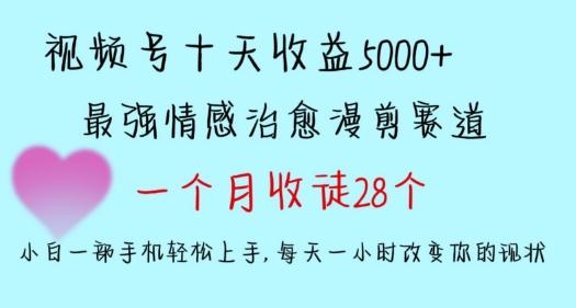 十天收益5000+，多平台捞金，视频号情感治愈漫剪，一个月收徒28个，小白一部手机轻松上手【揭秘】-网创小站