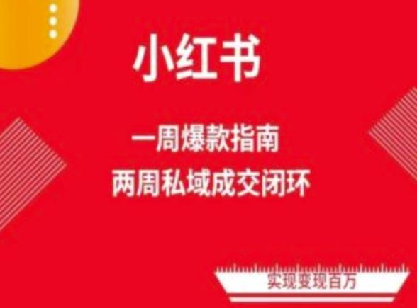 爆款小红书免费流量体系课程(两周变现)，小红书电商教程-网创小站