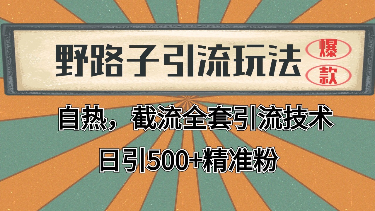 抖音小红书视频号全平台引流打法，全自动引流日引2000+精准客户-网创小站