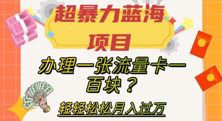 超暴力蓝海项目，办理一张流量卡一百块？轻轻松松月入过万，保姆级教程【揭秘】-网创小站