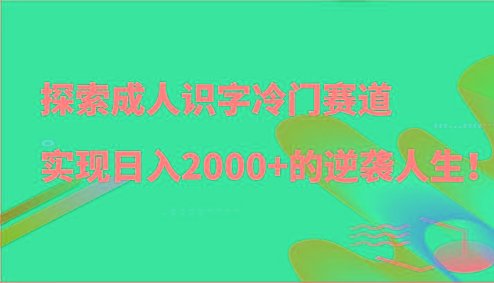 探索成人识字冷门赛道,实现日入2000+的逆袭人生!-网创小站
