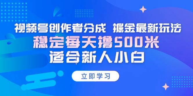 【蓝海项目】视频号创作者分成 掘金最新玩法 稳定每天撸500米 适合新人小白-网创小站
