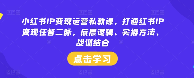 小红书IP变现运营私教课，打通红书IP变现任督二脉，底层逻辑、实操方法、战训结合-网创小站