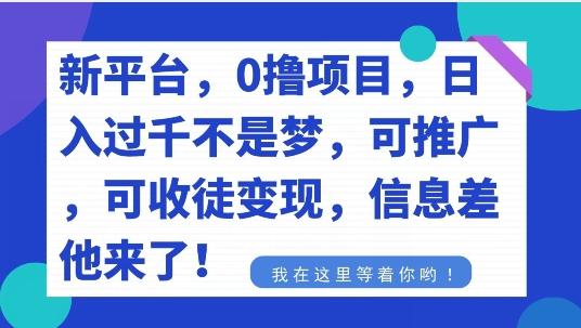 不要再花冤枉钱了，0撸项目，每天坚持，稳定1000+-网创小站